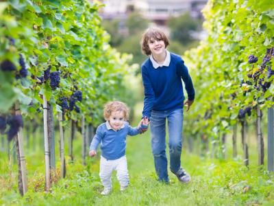 秋天也會濕氣重嗎,秋天濕氣重需要注意些什么