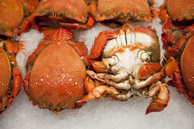 什么時候吃螃蟹最好？4個秘訣挑選螃蟹，膘肥更味美