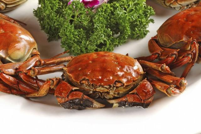 什么時候吃螃蟹最好？4個秘訣挑選螃蟹，膘肥更味美