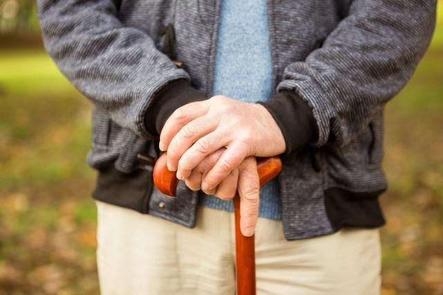 秋季老年人的養生食譜，秋季老年人適合什么運動?