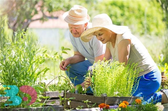 冬季養(yǎng)肺正當(dāng)時,適合老年人潤肺止咳的食物推薦-易網(wǎng)健康養(yǎng)生網(wǎng) 冬季養(yǎng)肺正當(dāng)時,適合老年人潤肺止咳的食物推薦