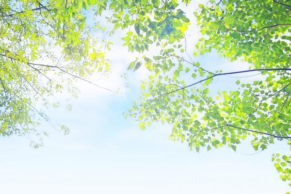 三伏天是幾月幾號