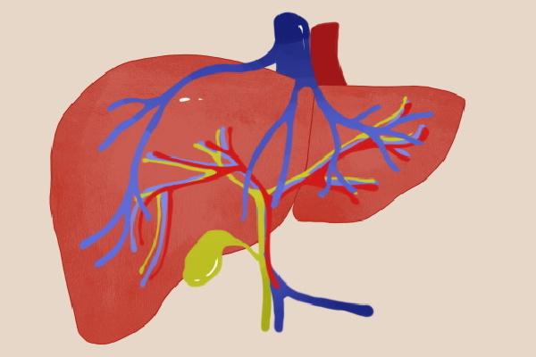 秋季肝火旺盛怎么調(diào)理-易網(wǎng)<a href=http://www.xllyou.com/ target=_blank class=infotextkey>健康養(yǎng)生</a>網(wǎng) 秋季肝火旺盛怎么調(diào)理
