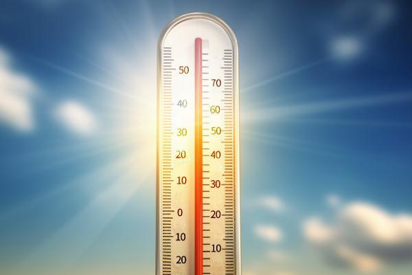 三伏天有什么講究