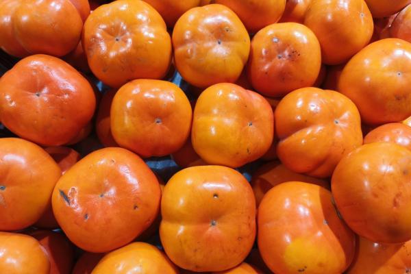 霜降吃什么傳統食物