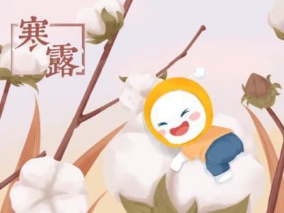 寒露是幾月幾號