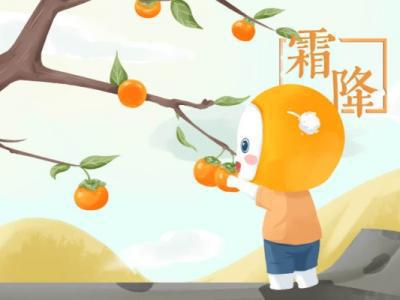 霜降節氣的特點和風俗