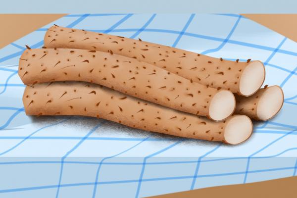 冬至進補吃什么最好