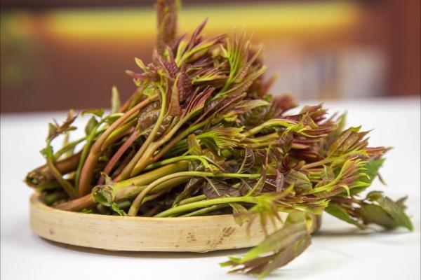 春分吃什么食物