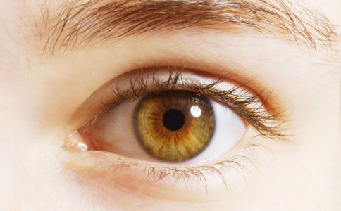 春季保護眼睛要怎么做 春季如何護眼 春季護眼方法 春季怎樣護眼