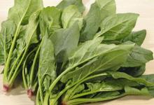 哪些食物可以保護(hù)眼睛 試試這幾種