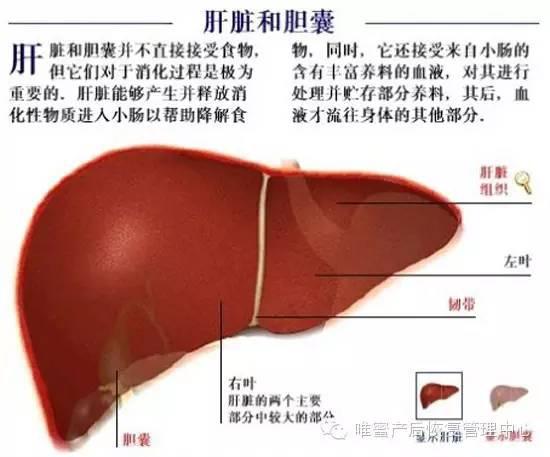 這些身體部位，不保養老的快