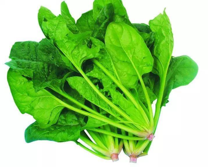 眼睛需要的營(yíng)養(yǎng)排行榜