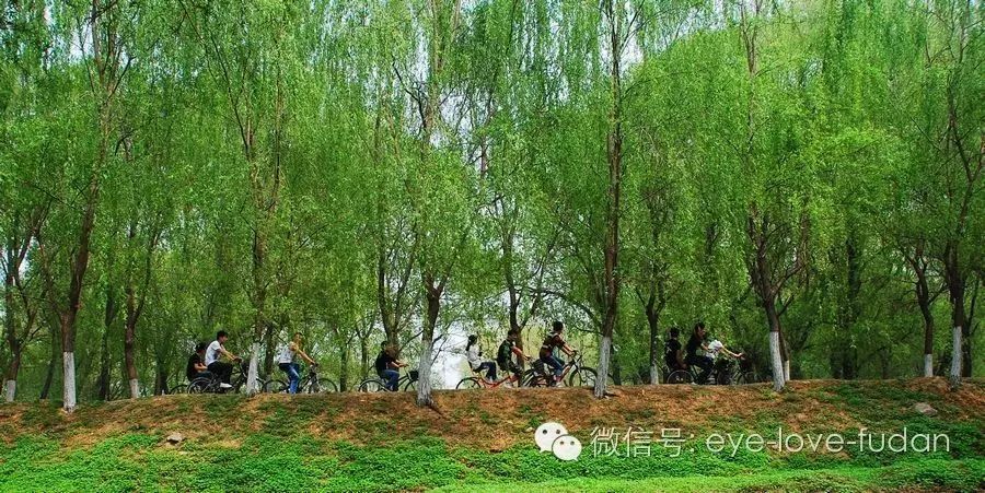 眼睛干澀、浮腫、疲勞、有血絲的護理小技巧! 眼睛干澀、浮腫、疲勞、有血絲的護理小技巧!