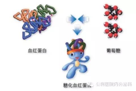 糖化血紅蛋白正常不等于血糖控制好 糖化血紅蛋白正常不等于血糖控制好