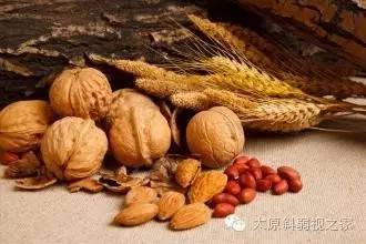 對視力有幫助的飲食小常識 對視力有幫助的飲食小常識