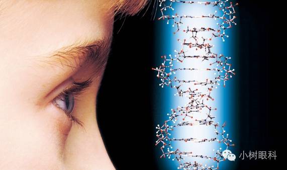 高度近視會遺傳寶寶嗎? 高度近視會遺傳寶寶嗎?