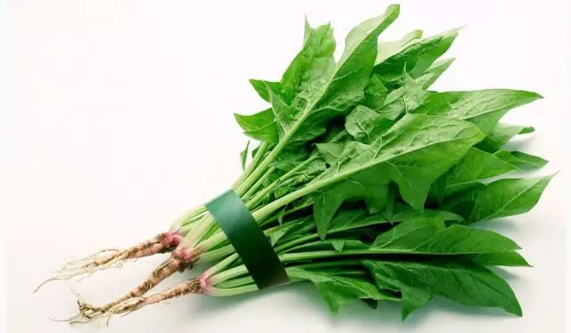 眼睛干澀、疲勞,記得多吃這些食物! 眼睛干澀、疲勞,記得多吃這些食物!