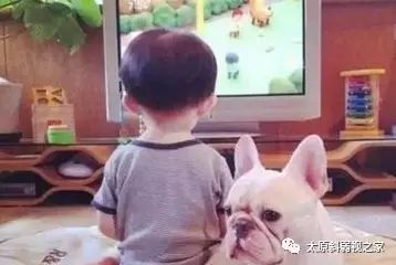 用電視哄孩子,視力傷害大 用電視哄孩子,視力傷害大