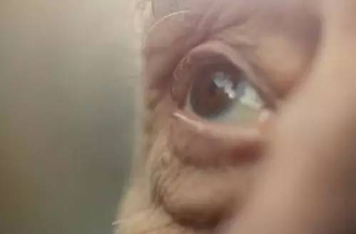 老年人日常護(hù)眼常用這六種方法 老年人日常護(hù)眼常用這六種方法