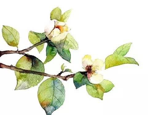 激光近視手術不能忽視的問題