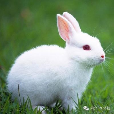 警惕夏季7大高發病! 警惕夏季7大高發病!