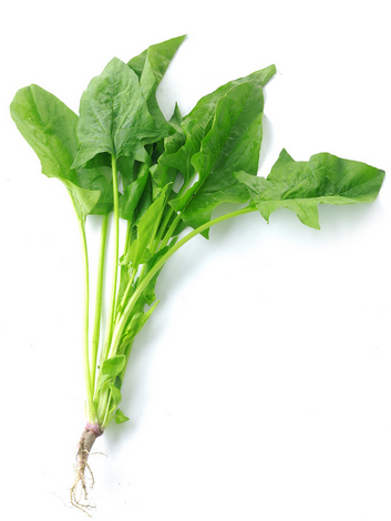 秋季護(hù)眼對(duì)抗干燥大攻略！