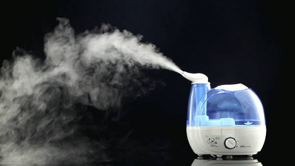 這5種食物不僅營養美味,還能保護視力! 這5種食物不僅營養美味,還能保護視力!