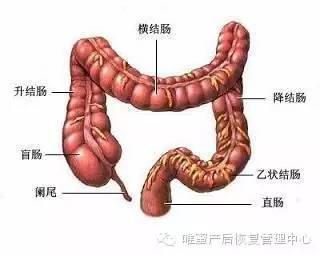這些身體部位，不保養老的快
