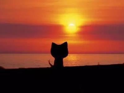 遠(yuǎn)視性弱視和近視性弱視的區(qū)別