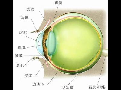 如何預防角膜炎？