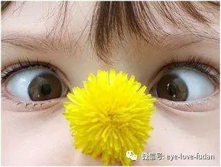 斜弱視嚴重影響眼健康,兒童治療要趁早