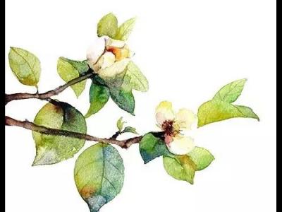 激光近視手術不能忽視的問題