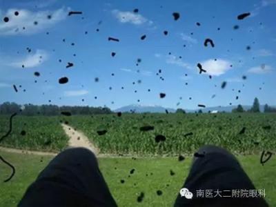 視網膜脫落的癥狀有哪些?