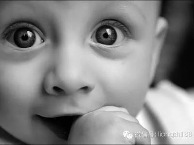 眼睛的視路包括哪幾部分?