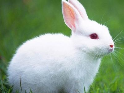 警惕夏季7大高發(fā)病！