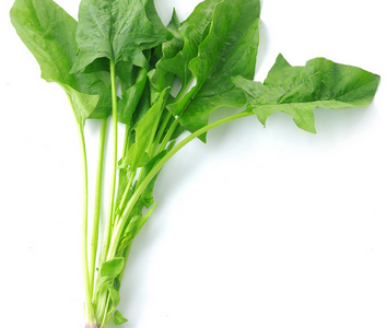 秋季護(hù)眼對(duì)抗干燥大攻略！