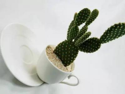 電腦、手機亮度該調多少才不傷眼睛?