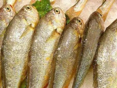 五種營養素讓孩子遠離近視眼