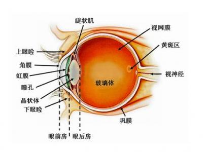 警惕!這樣給寶寶拍照會(huì)影響視力!