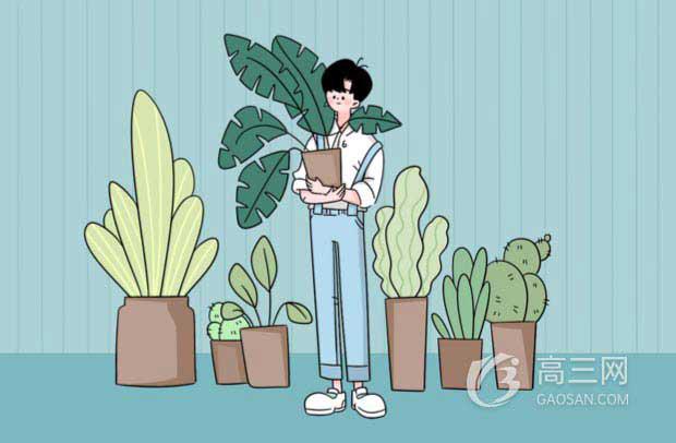 勵志！視障雙胞胎雙雙考取重點大學