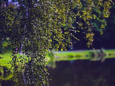 十大國產近視眼鏡品牌排行