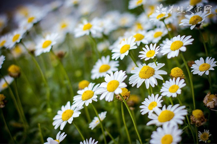 食欲不好是什么原因-易網(wǎng)健康養(yǎng)生網(wǎng) 食欲不好是什么原因