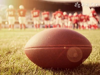 大茶藥的功效與作用