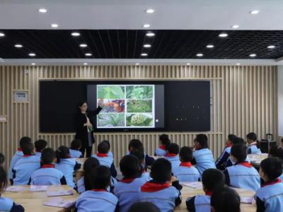 中醫(yī)藥文化進(jìn)校園  豐澤區(qū)第三中心小學(xué)開設(shè)中草藥課程