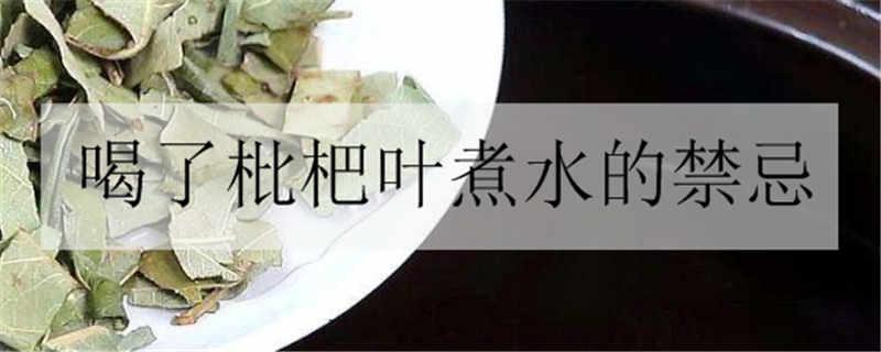 喝了枇杷葉煮水的禁忌