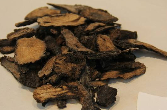 肉蓯蓉的危害極大-易網<a href=http://www.xllyou.com/ target=_blank class=infotextkey>健康養生</a>網 肉蓯蓉的危害極大