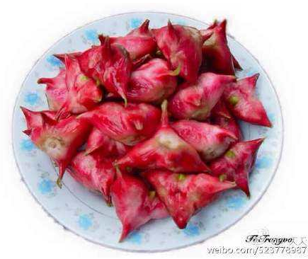 紅菱角的功效與作用