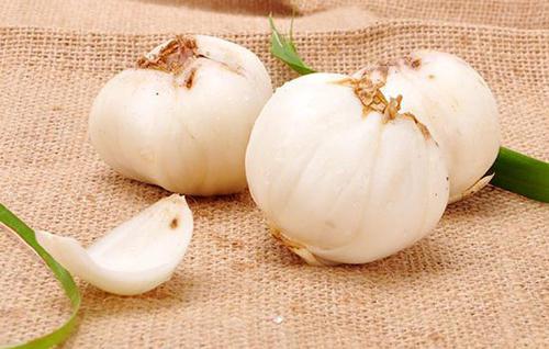 鮮百合哪些人不能吃