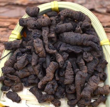 鹽巴戟天的功效與作用及禁忌-易網健康<a href=http://www.xllyou.com/jkys/ target=_blank class=infotextkey>養生</a>網 鹽巴戟天的功效與作用及禁忌